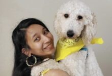 Morabia Siddhi Suresh Obituary: 33-Year-Old Fremont Woman Killed on I-75 in Rockcastle County After Being Struck by Chevrolet Malibu While Retrieving Pet Post-Crash